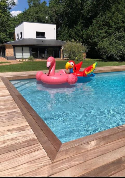 Magnifique Villa Avec Piscine En Sologne Vouzeron Exterior foto